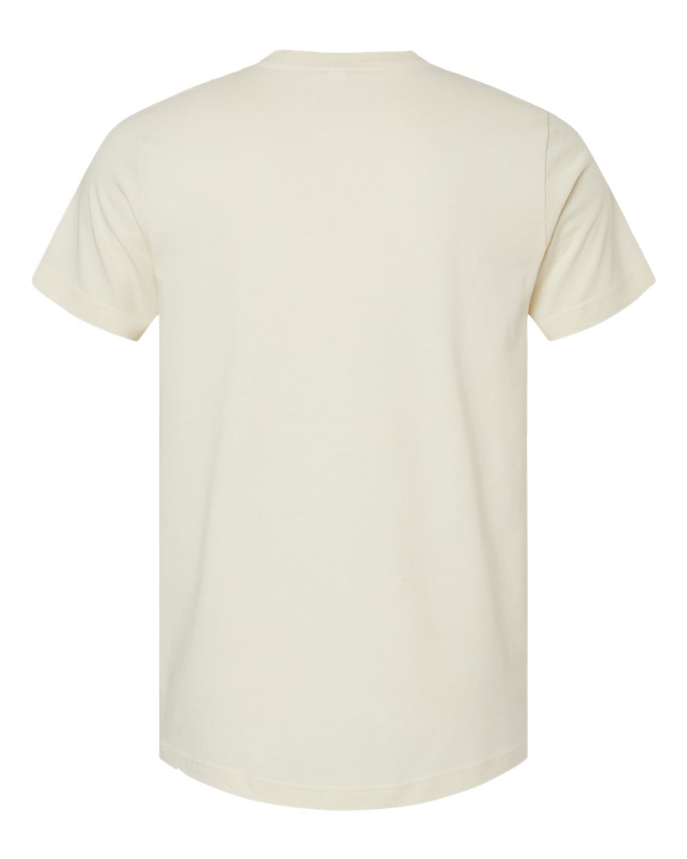 Bella+Canvas 3005 Unisex Jersey V-Neck Tee in 