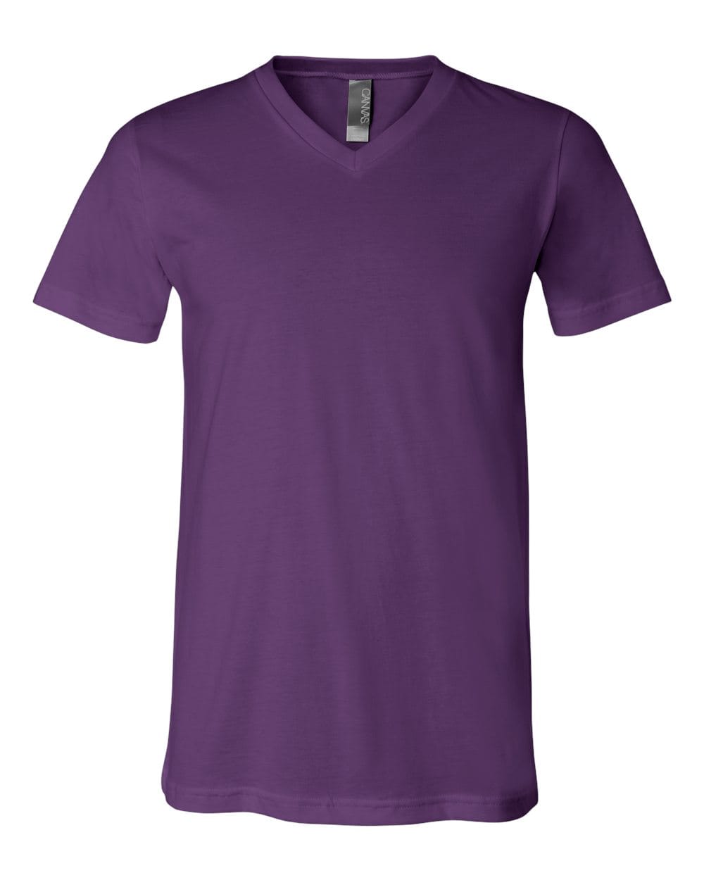 Bella+Canvas 3005 Unisex Jersey V-Neck Tee in Team Purple