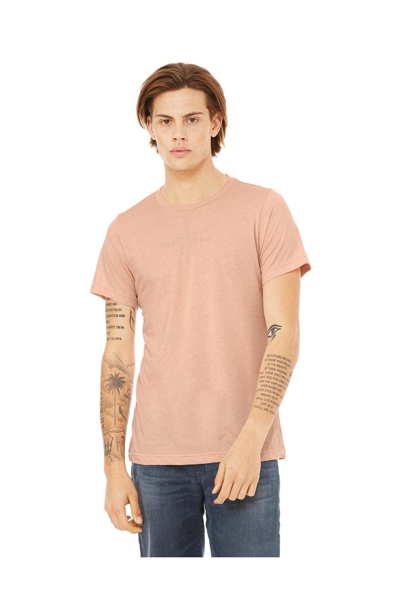 Bella+Canvas 3413C: Unisex Triblend T-Shirt in 