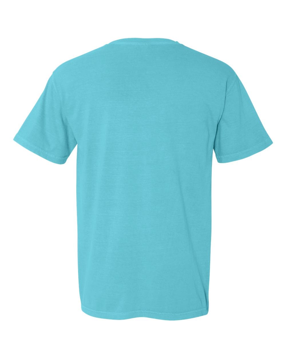 Comfort Colors T-Shirts - Premium Comfort Colors 1717 Unisex Garment-Dyed Heavyweight T-Shirt