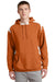 DISCONTINUED Sport-Tek ® Pullover Hooded Sweatshirt with Contrast Color. F264