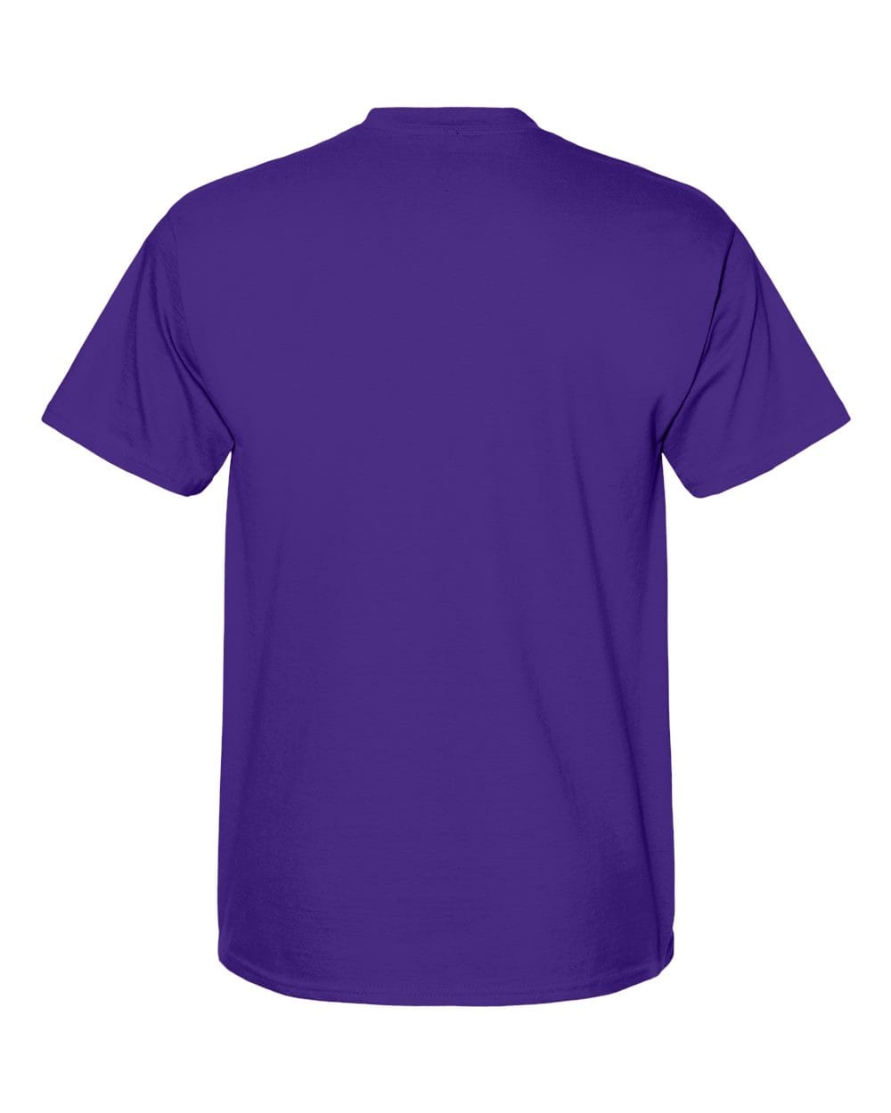 Hanes T-Shirts Hanes 5180 Unisex Beefy-T T-Shirt
