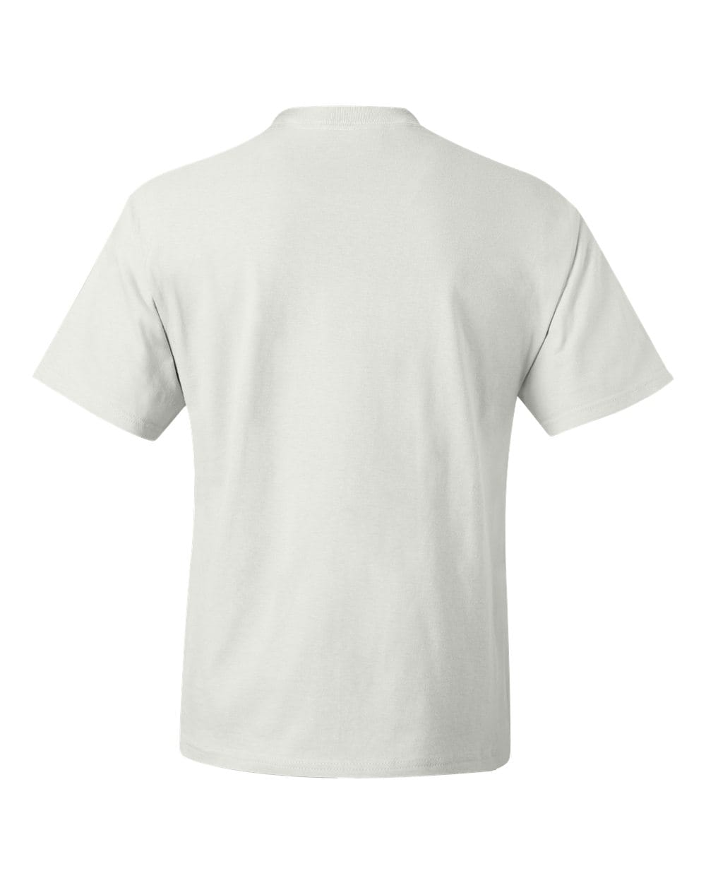 Hanes T-Shirts Hanes 5180 Unisex Beefy-T T-Shirt
