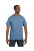 Hanes 5250T: Men's 6.1 oz. Tagless® T-Shirt, Extended Colors 2