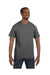 Hanes 5250T: Men's 6.1 oz. Tagless® T-Shirt, Extended Colors 4