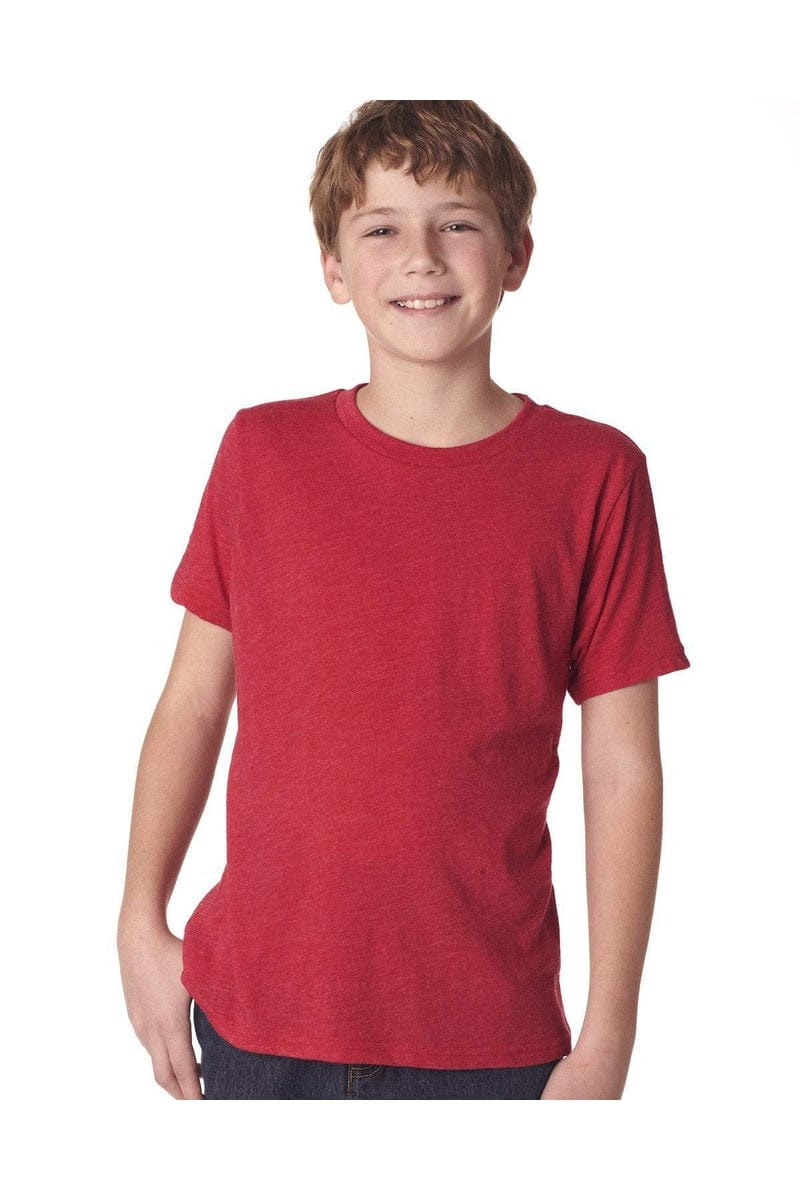 Next Level N6310: Youth Triblend Crew in 