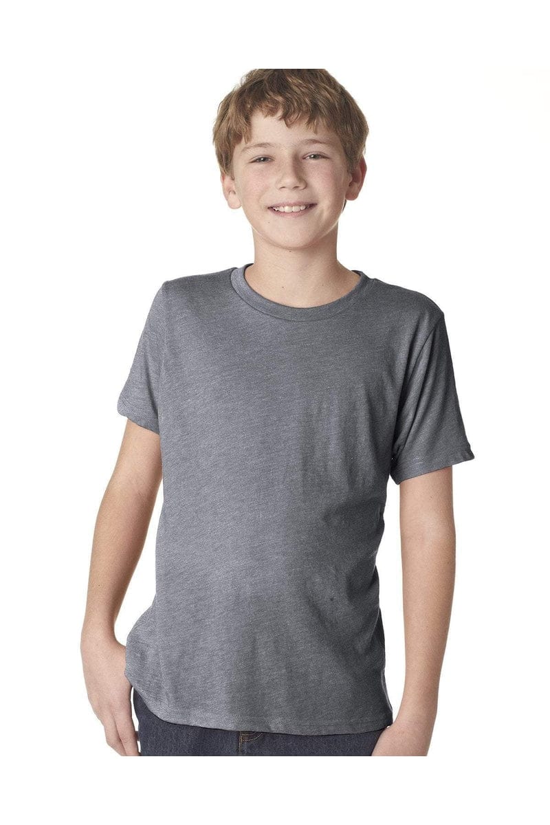 Next Level N6310: Youth Triblend Crew in 