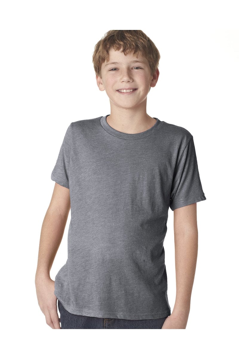 Next Level N6310: Youth Triblend Crew in Premium Heather