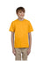 Fruit of the Loom T-Shirts Fruit of the Loom 3931B: Youth 5 oz. HD Cotton™ T-Shirt, Traditional Colors