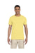 Gildan T-Shirts Gildan G640: Adult Softstyle® 4.5 oz. T-Shirt