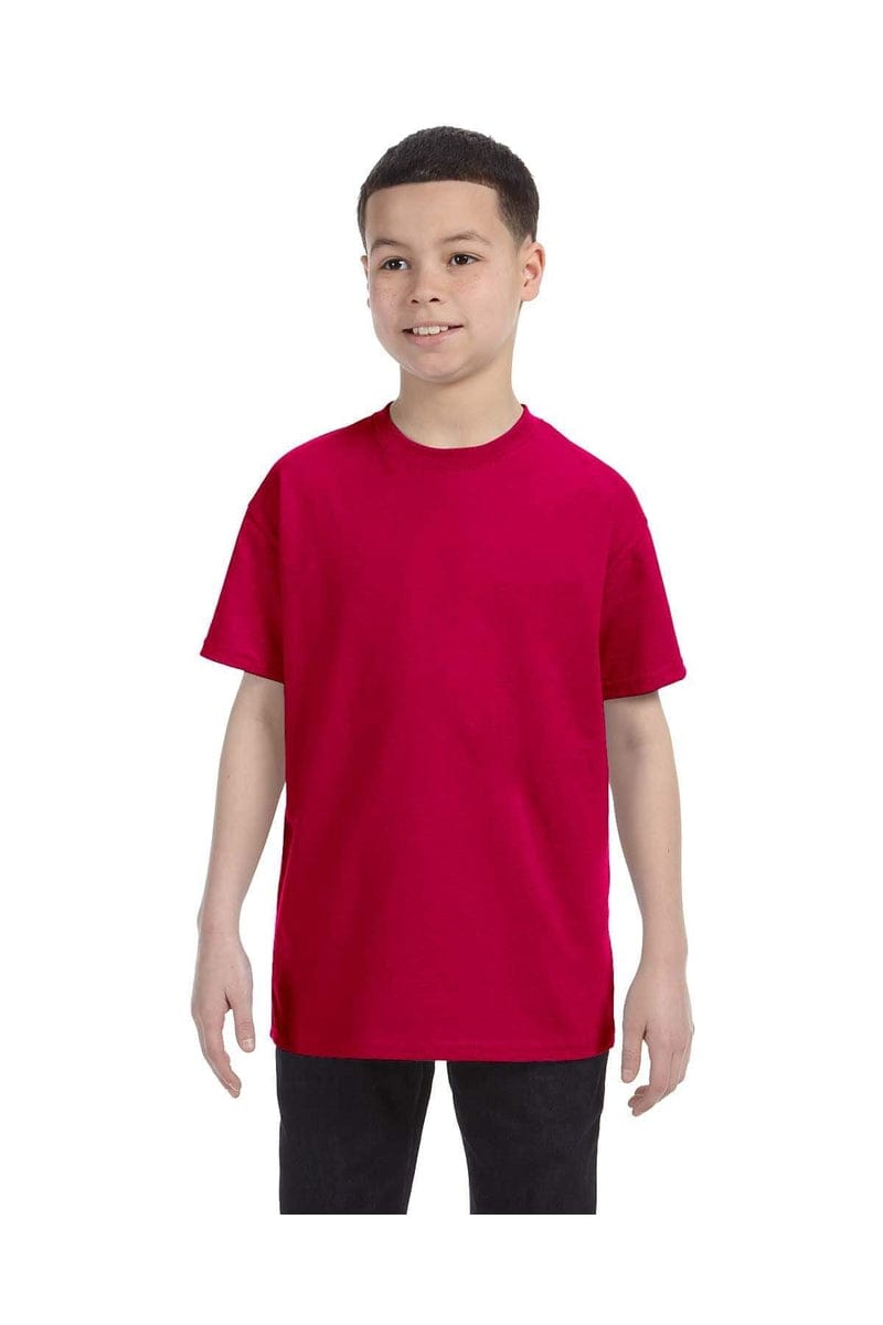 Gildan T-Shirts XS / Garnet Gildan G500B: Youth 5.3 oz. T-Shirt