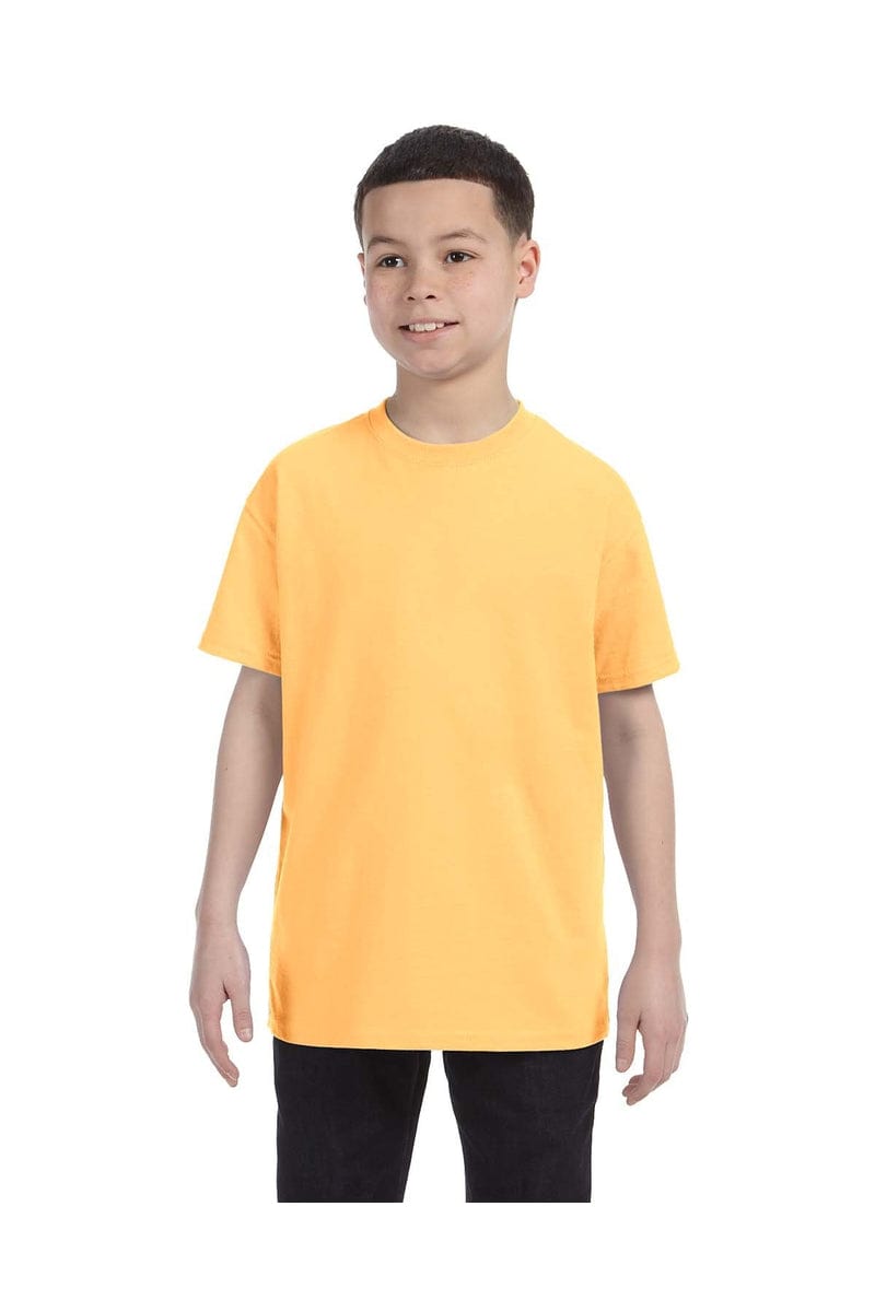 Gildan T-Shirts XS / Yellow Haze Gildan G500B: Youth 5.3 oz. T-Shirt