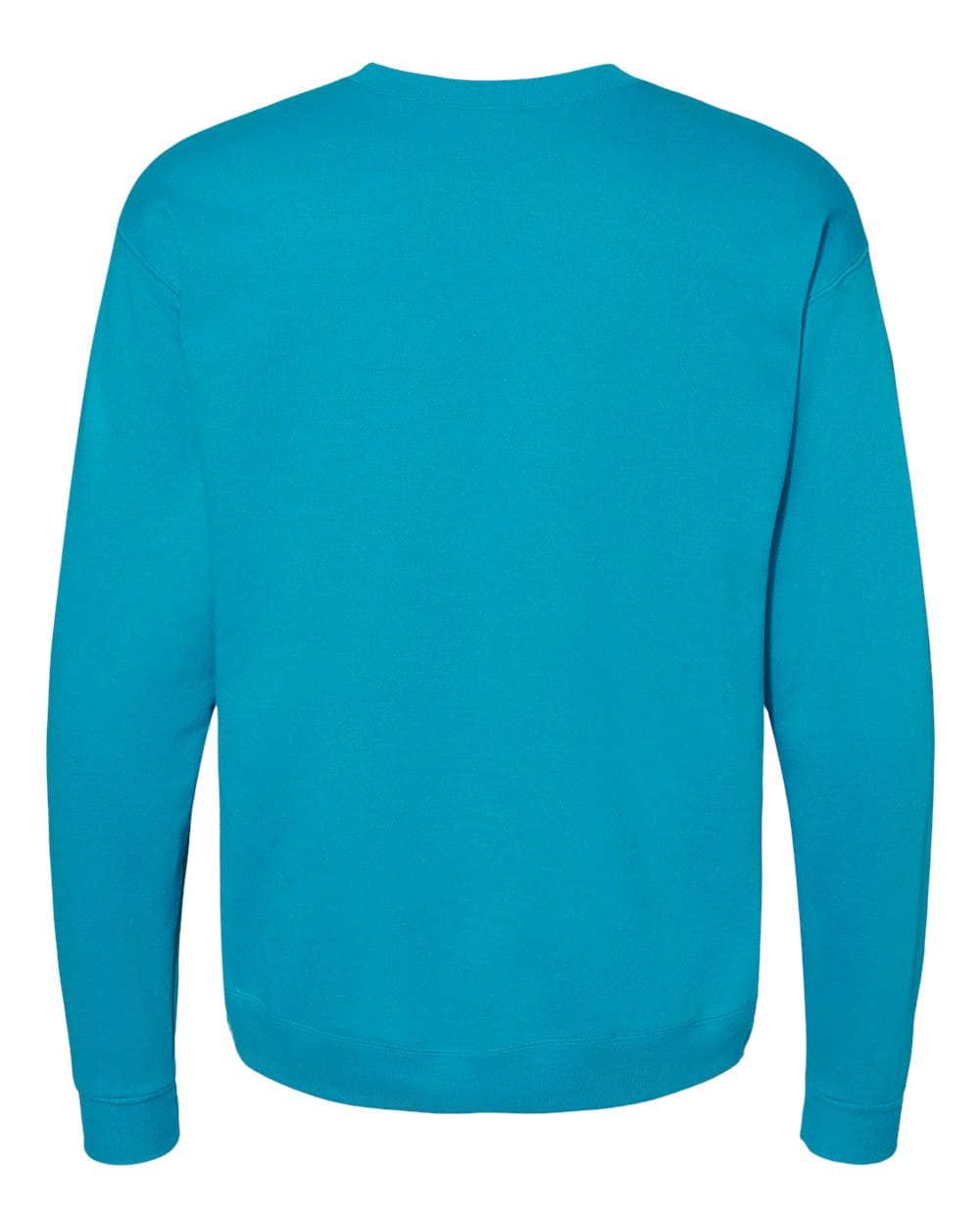 Hanes Fleece - Core - Crew Hanes P160 Unisex EcoSmart® Crewneck Sweatshirt