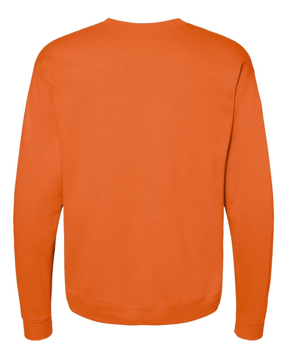 Hanes Fleece - Core - Crew Hanes P160 Unisex EcoSmart® Crewneck Sweatshirt