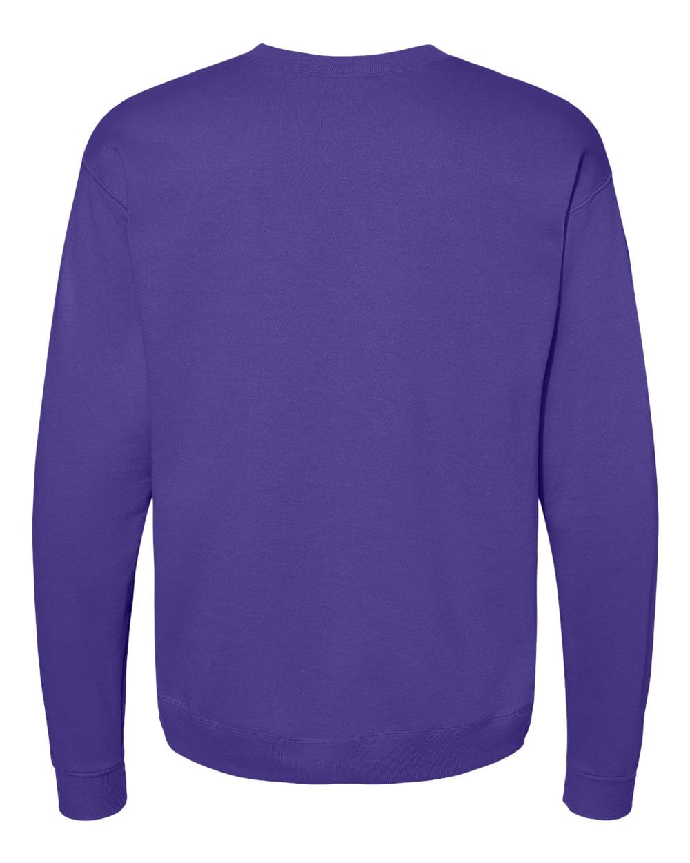 Hanes Fleece - Core - Crew Hanes P160 Unisex EcoSmart® Crewneck Sweatshirt