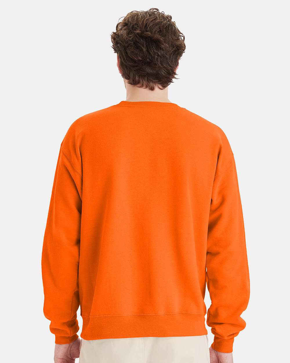 Hanes Fleece - Core - Crew Hanes P160 Unisex EcoSmart® Crewneck Sweatshirt