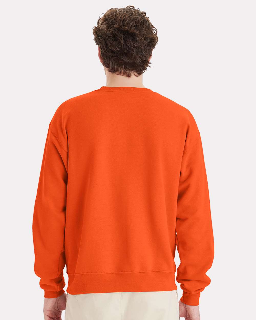 Hanes Fleece - Core - Crew Hanes P160 Unisex EcoSmart® Crewneck Sweatshirt