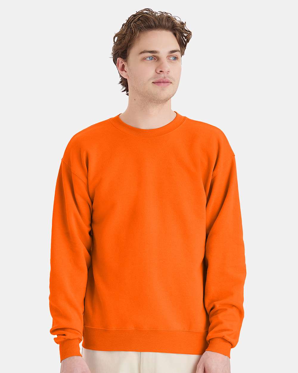 Hanes Fleece - Core - Crew Hanes P160 Unisex EcoSmart® Crewneck Sweatshirt
