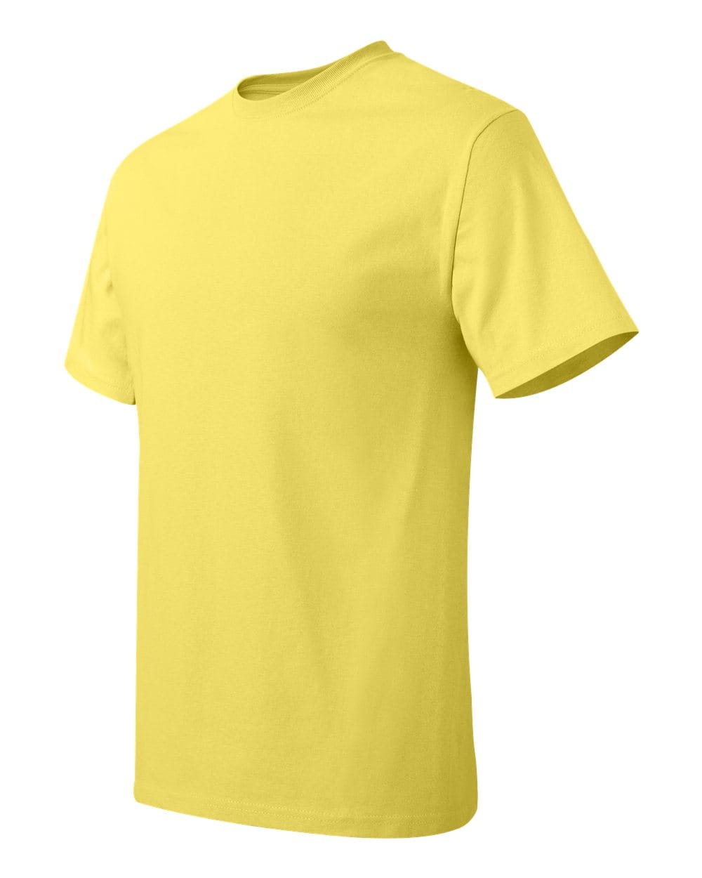 Hanes T-Shirts - Core Hanes 5250 Unisex Authentic T-Shirt