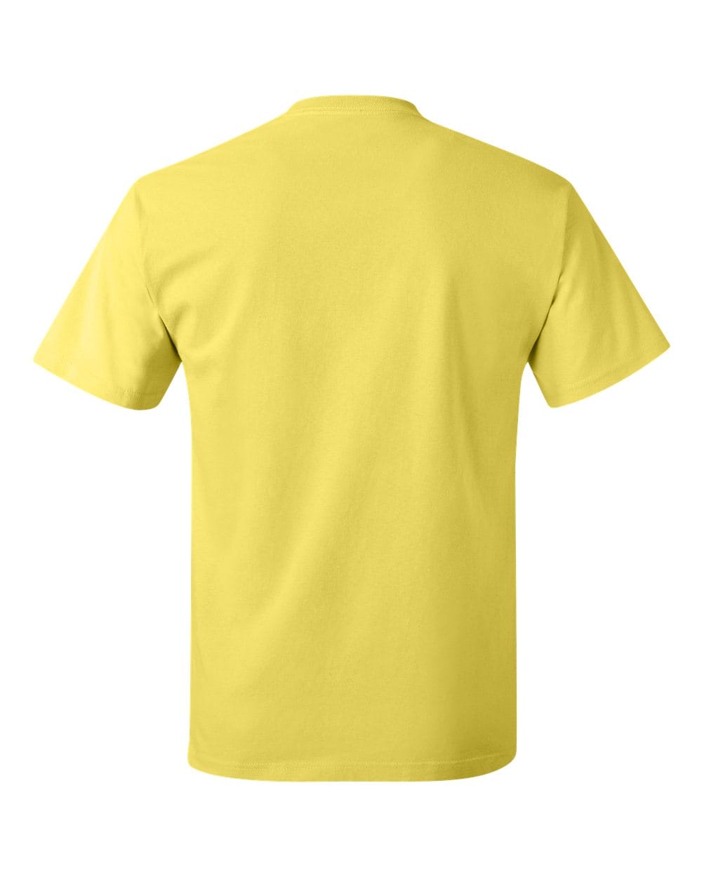 Hanes T-Shirts - Core Hanes 5250 Unisex Authentic T-Shirt