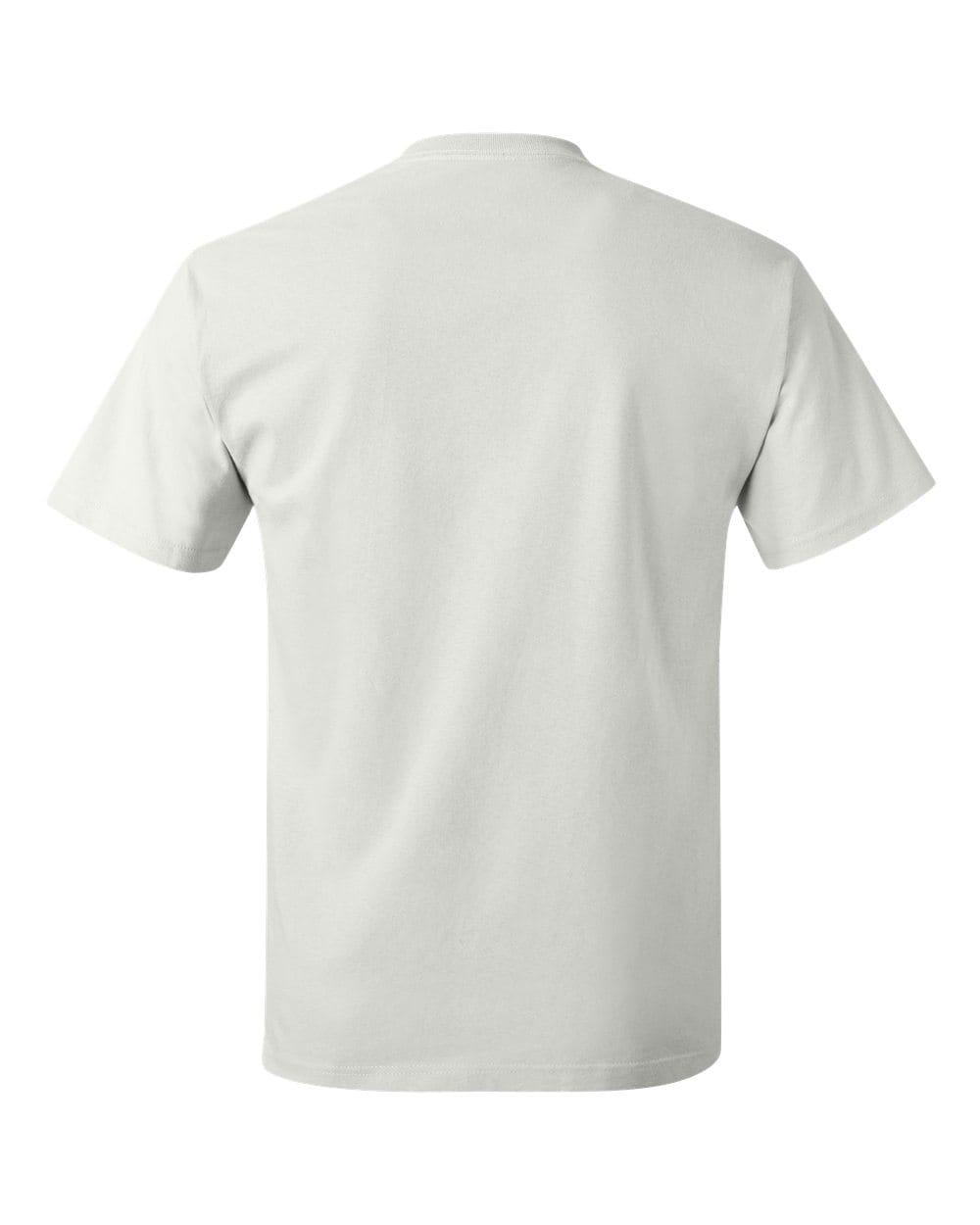Hanes T-Shirts - Core Hanes 5250 Unisex Authentic T-Shirt
