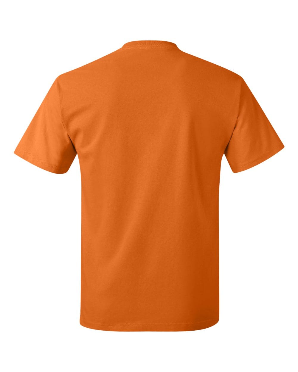 Hanes T-Shirts - Core Hanes 5250 Unisex Authentic T-Shirt