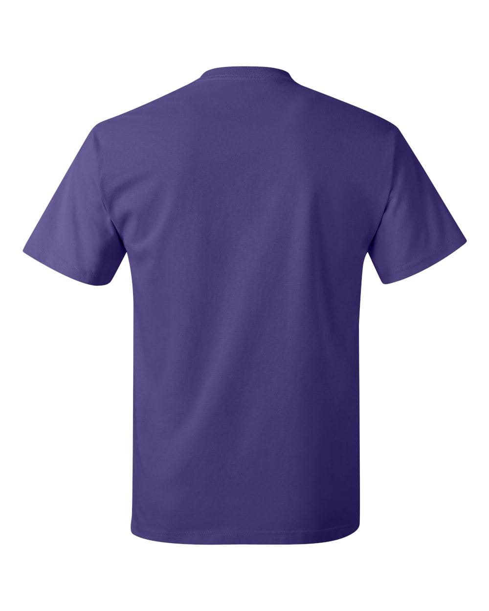 Hanes T-Shirts - Core Hanes 5250 Unisex Authentic T-Shirt