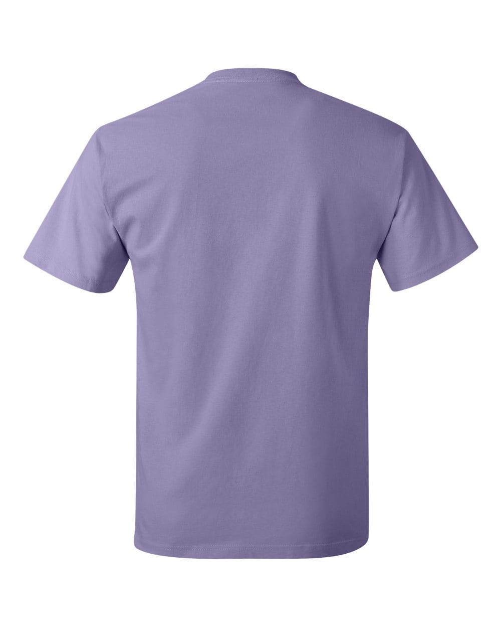 Hanes T-Shirts - Core Hanes 5250 Unisex Authentic T-Shirt