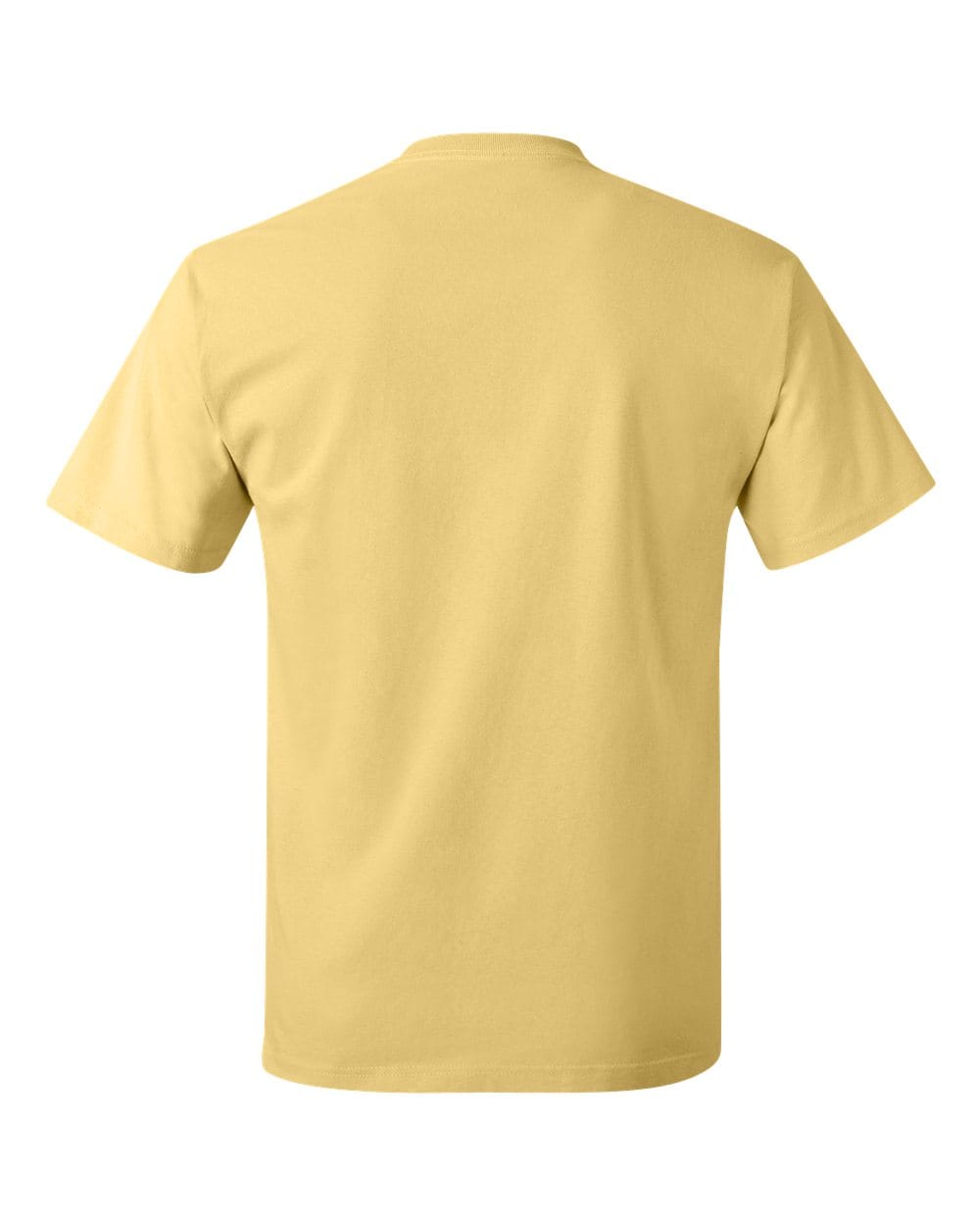 Hanes T-Shirts - Core Hanes 5250 Unisex Authentic T-Shirt