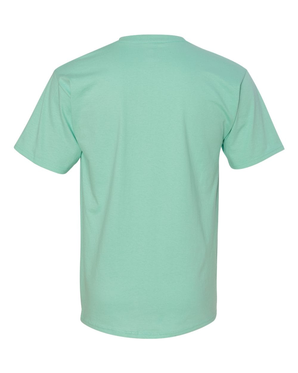 Hanes T-Shirts - Core Hanes 5250 Unisex Authentic T-Shirt