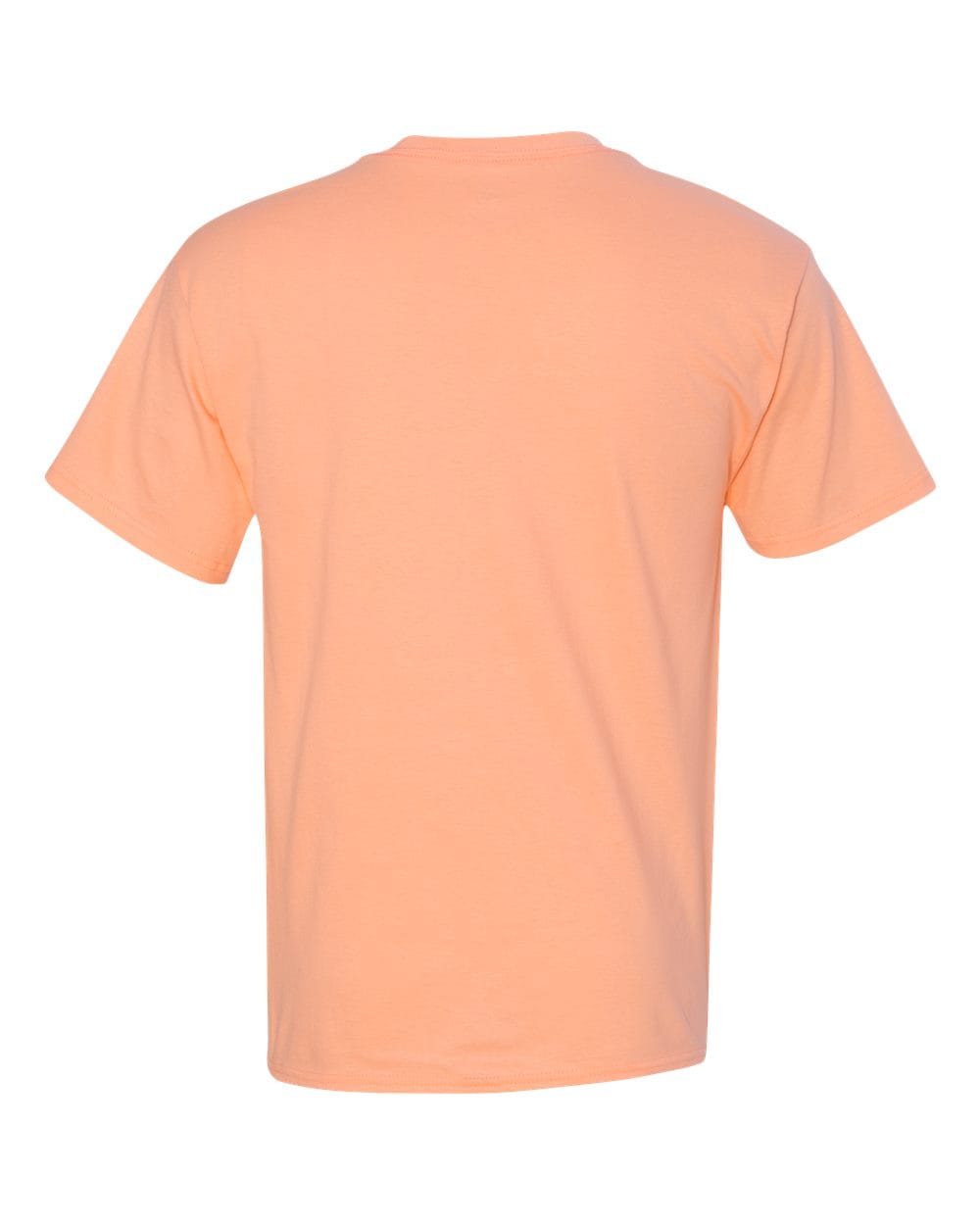 Hanes T-Shirts - Core Hanes 5250 Unisex Authentic T-Shirt