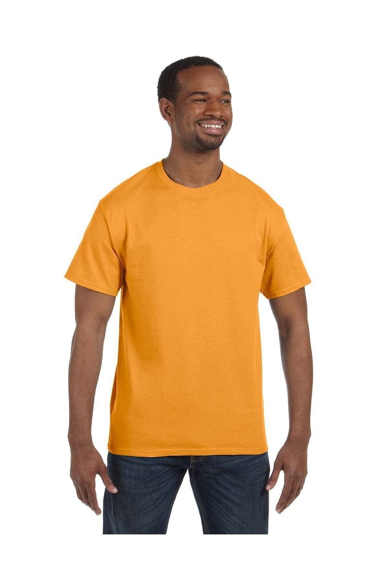 Hanes 5250T Men s 6.1 oz. Tagless T Shirt Extended Colors 2 Bulkthreads Bulkthreads