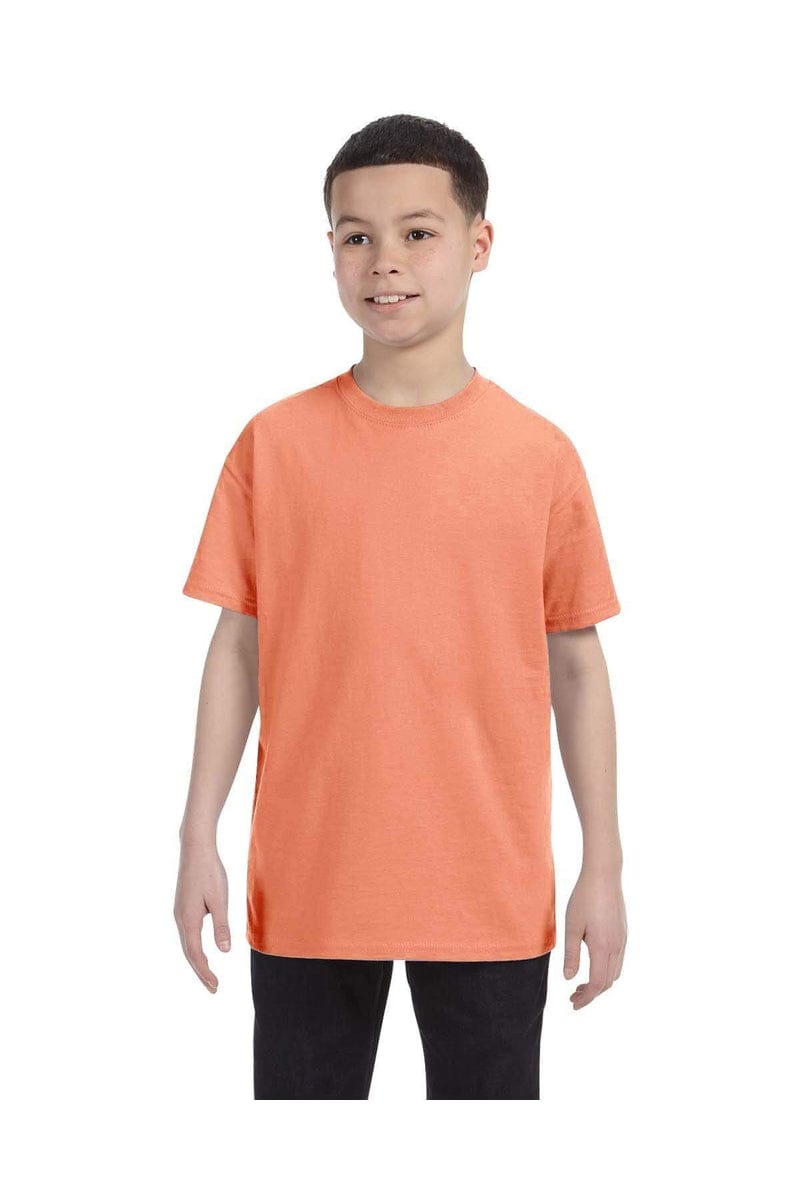 Hanes T-Shirts Hanes 54500: Youth 6.1 oz. Tagless® T-Shirt, Basic Colors