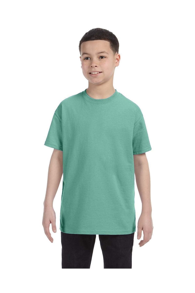 Hanes T-Shirts XS / Clean Mint Hanes 54500: Youth 6.1 oz. Tagless® T-Shirt, Basic Colors