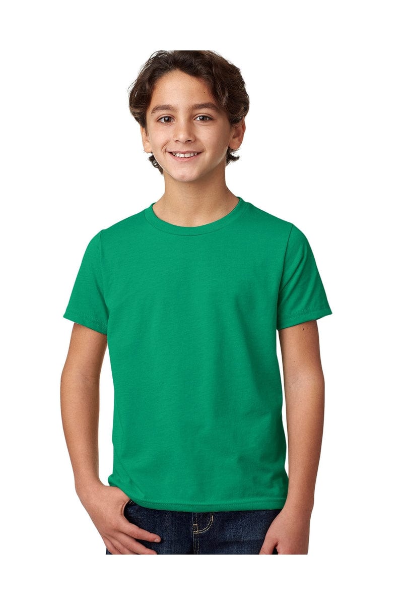 Next Level 3312: Youth CVC Crew | Bulkthreads - Bulkthreads.com