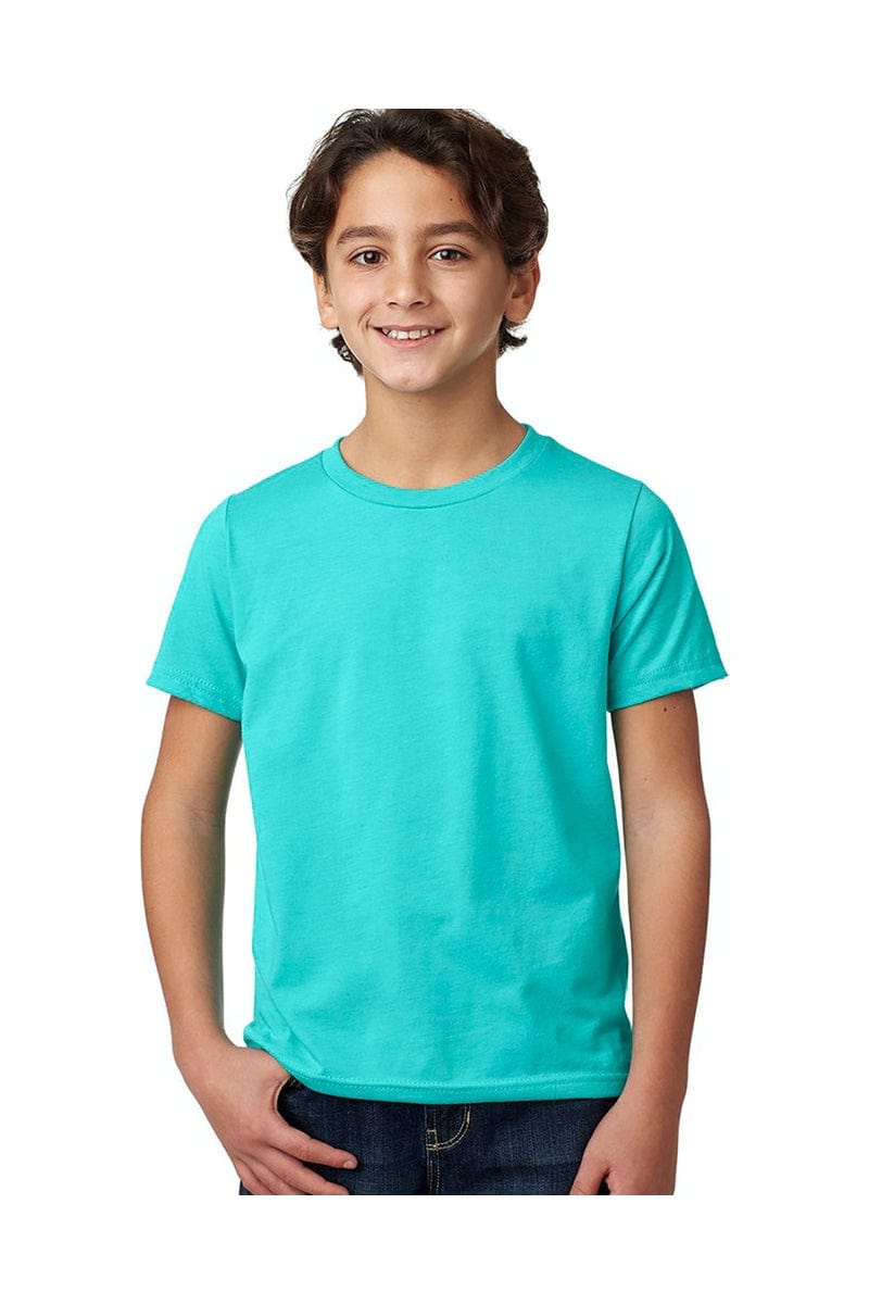 Next Level T-Shirts XS / Tahiti Blue Next Level 3312: Youth CVC Crew