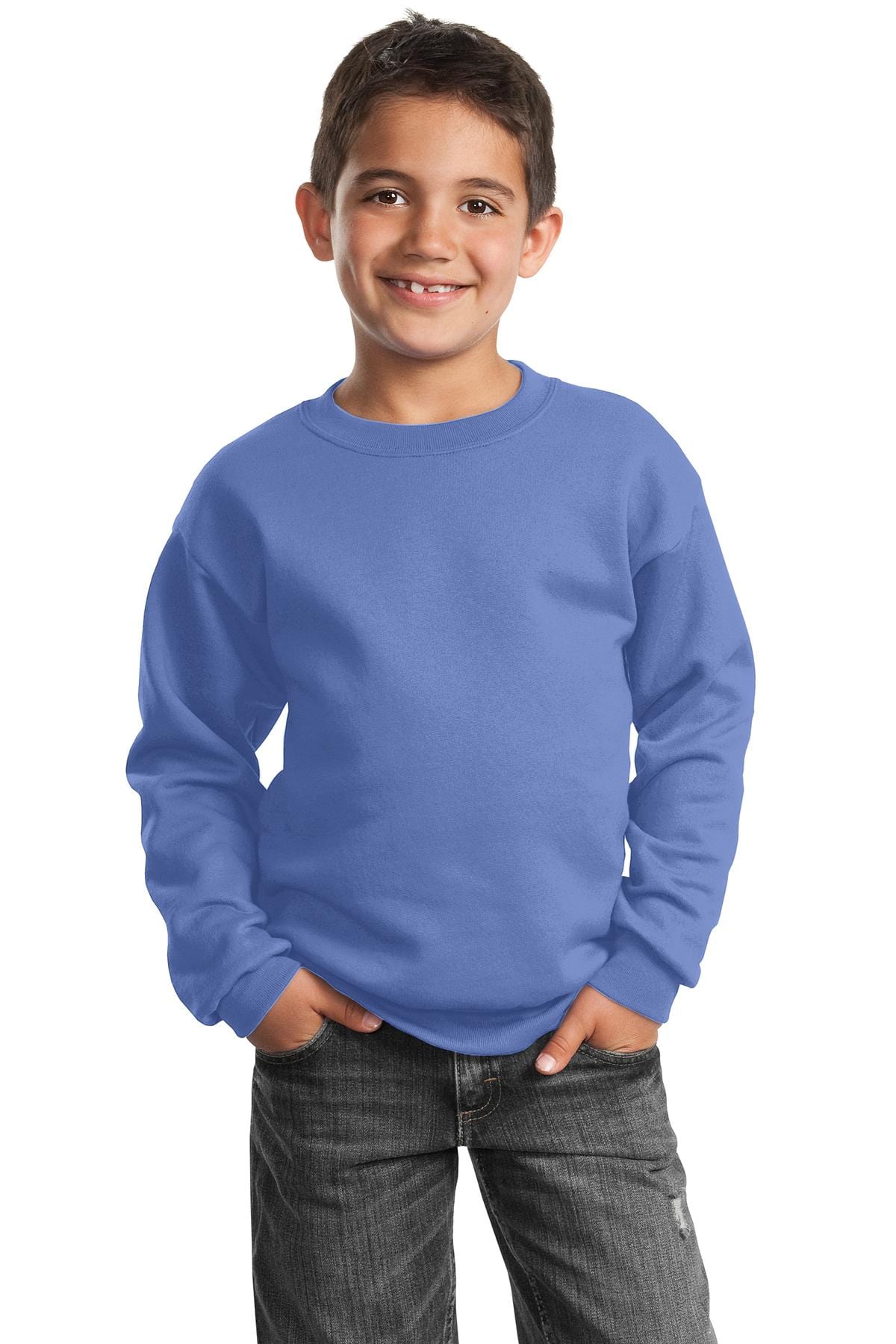 Port Sweatshirts/Fleece XS / Carolina Blue Port & Company ®  - Youth Core Fleece Crewneck Sweatshirt.  PC90Y