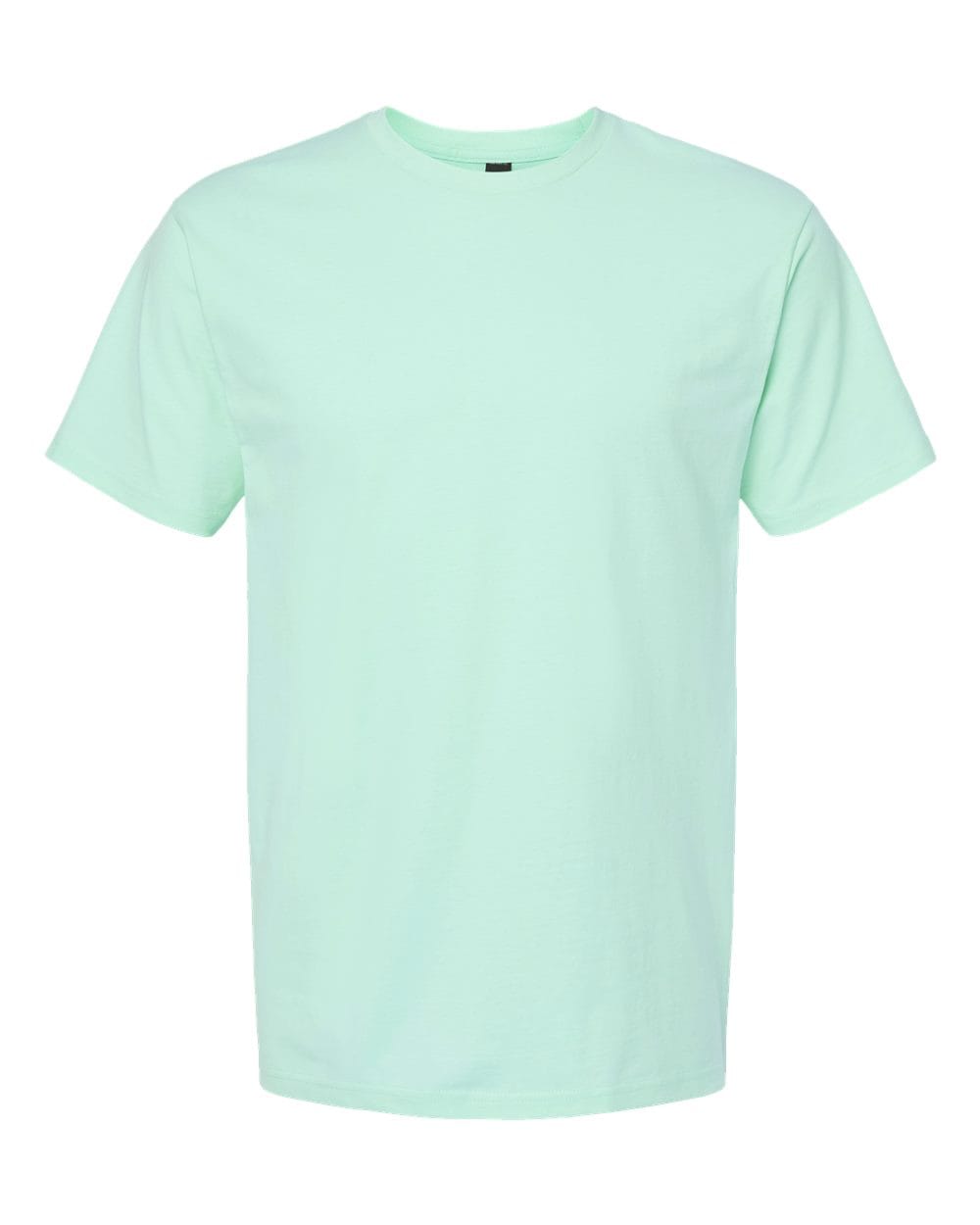 Tultex 10722 XS / Light Mint Tultex 290 Unisex Heavyweight Jersey T-Shirt